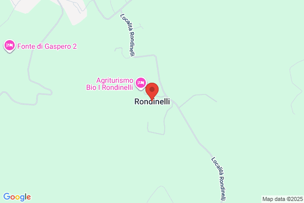 C R RONDINELLI INC