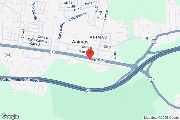 SANTANA AUTO PARTS INC
