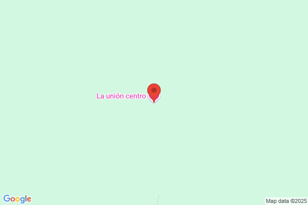 LA NUEVA UNION