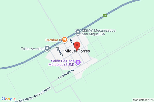 MIGUEL TORRES GONZALE