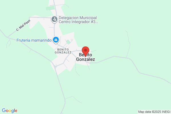 BENITO GONZALEZ INC