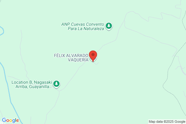 VAQUERIA ALVARADO