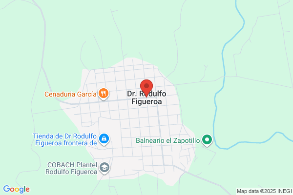 FRANCISCO J FIGUEROA ROVIR MD