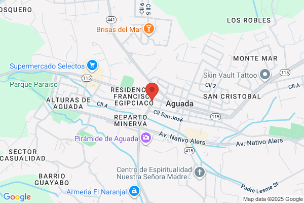 JOSE MENDOZA SANCHE MD