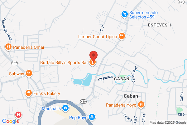 PHOENIX CABLES INC