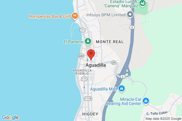 HOTEL BORINQUEN