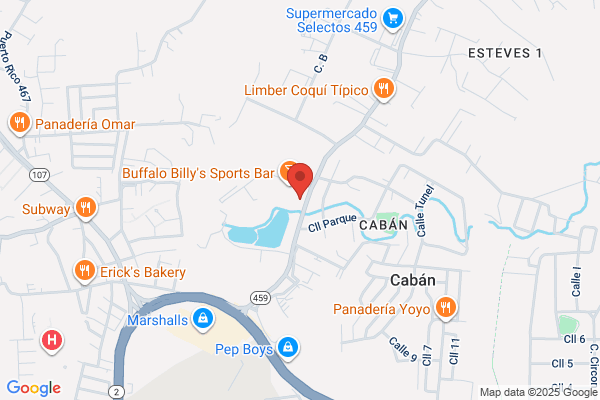 Fresenius Kidney Care Aguadilla