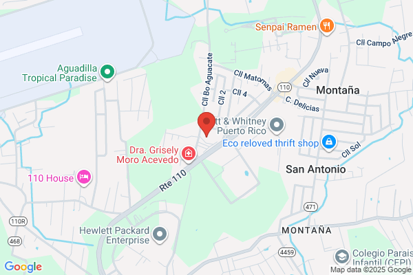 PUERTO RICO STORAGE & PRO LINE