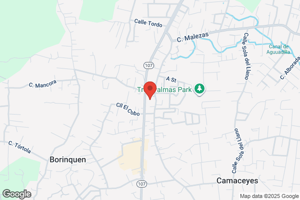 FARIDA M RAMOS SUAREZ MD