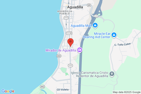 COMITE PNP AGUADILLA