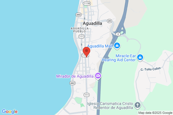 CENTRO GERIATRICO DEL HIGUEY