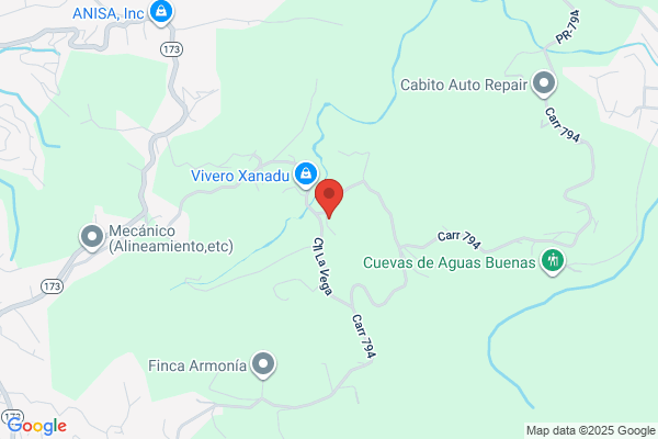 AGUAS BUENAS CAR CARE CTR