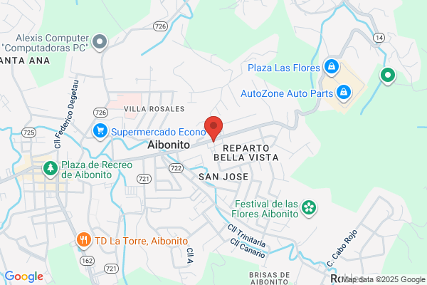 POLLUELO AUTO