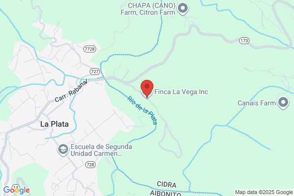 VEGA REALTY