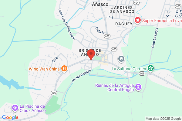 ANASCO PLUMBING SVC