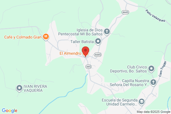 EL ALMENDRO LIQUOR STORE