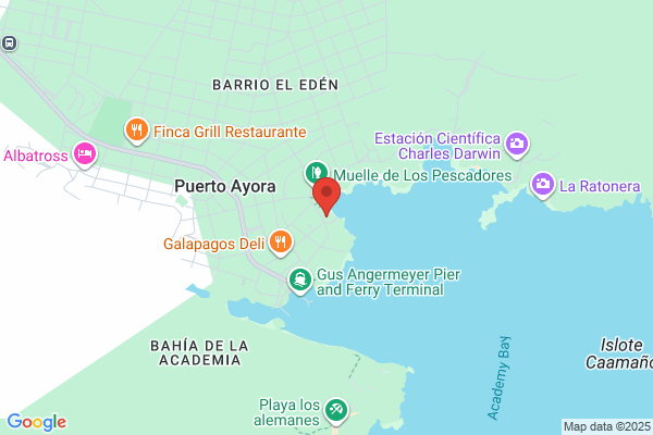 GALERIA DEL PUERTO