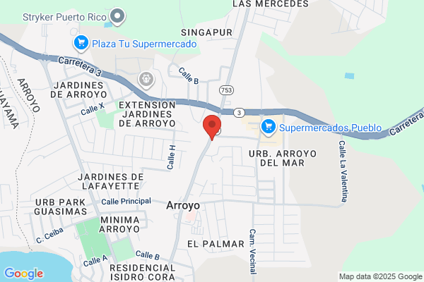 RAUL DIAZ FALCON DDS