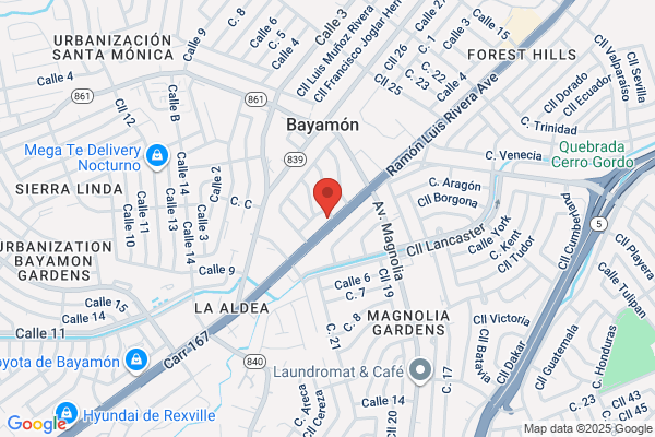 RAMON A NEVAREZ ANDINO