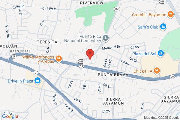 CONCEPCION AUTO COLLISION