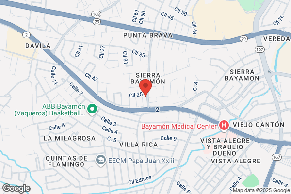 CABRERA AUTO PARTS