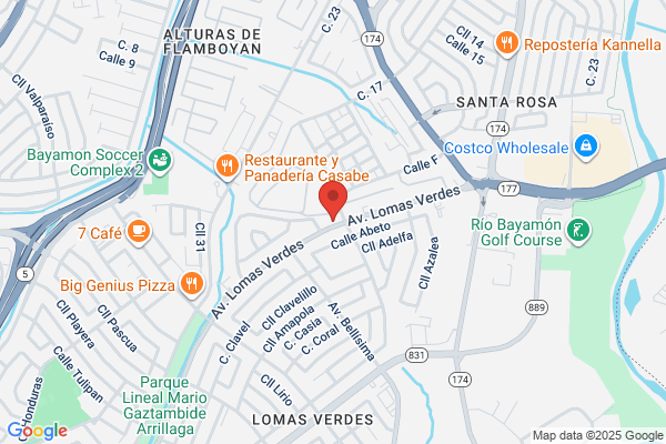 BAYAMON CARBURATORS