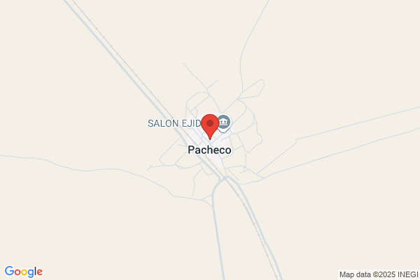 Pacheco R