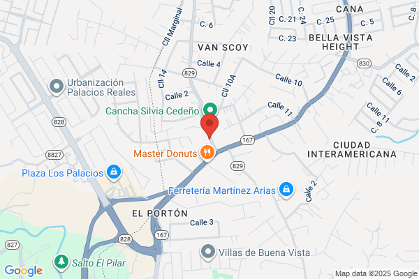 RAPIDEX DELIVERY SVC