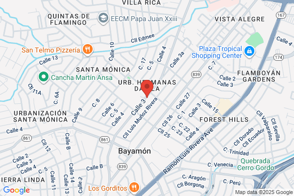 EVELYN M RIVERA ROSARIO DDS