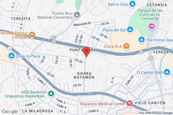 BORINQUEN ELECTRONICS