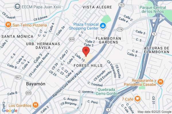 LABORATORIO DENTAL BORINQUEN