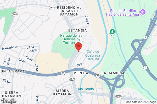 Borinquen Title Loans