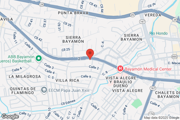GRUPO PEDIATRICO BAYAMON