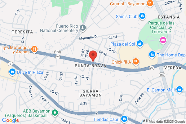 TEXACO SIERRA BAYAMON