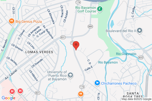 OLES DE PUERTO RICO INC