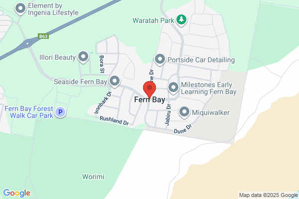 Fern