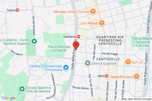 CENTRO PROFESIONAL-PSICOLOGICO