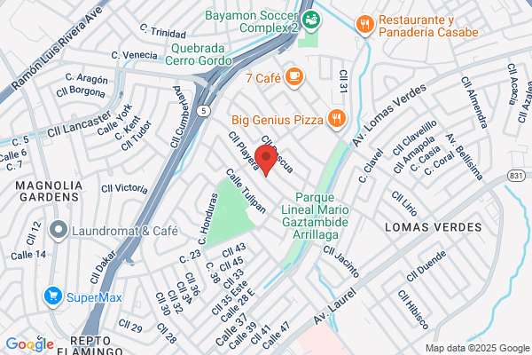 BAYAMON ACADEMY
