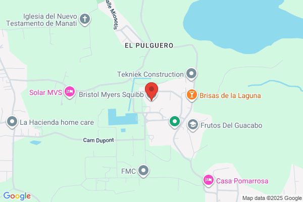 BRISTOL MYERS BARCELONETA INC
