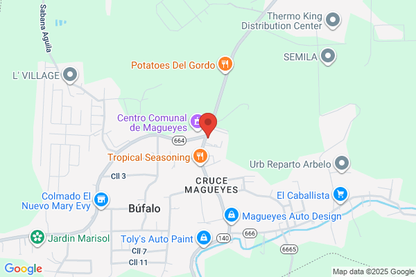 PHARMACIA & UPJOHN CARIBE INC