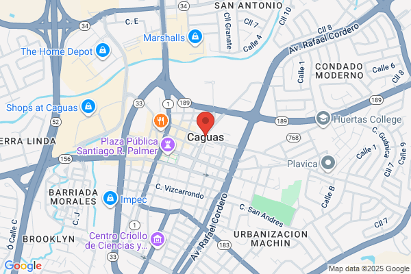 RADAMES GOMEZ RIVERA