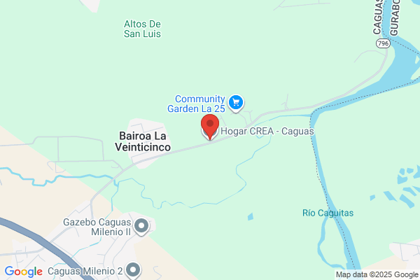 HOGAR NUEVAS CRIATURAS INC