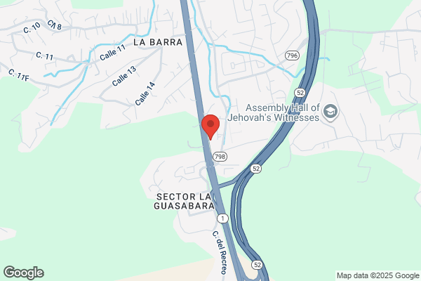 CAGUAS EXPRESSWAY MOTORS INC