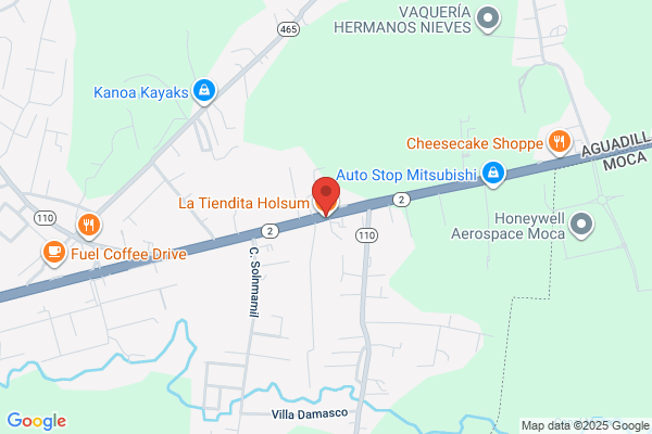 TIENDITA HOLSUM CAGUAS