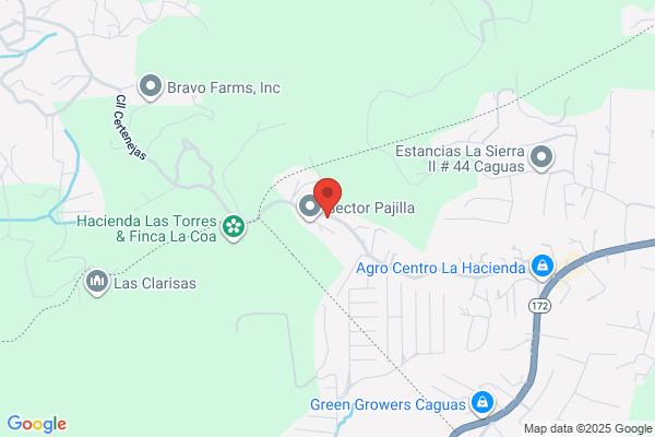 NOVIAS MI CASITA