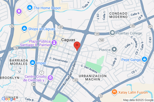 CAGUAS CELLULAR SYSTEM