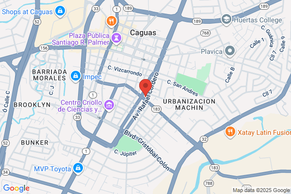 CAGUAS NOVELTIES INC
