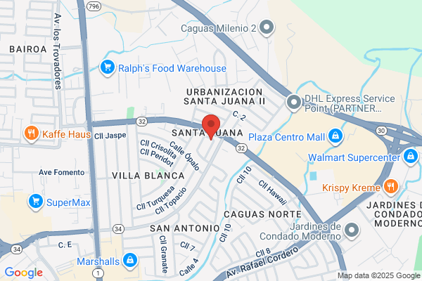 VISTA CENTER OF PR INC
