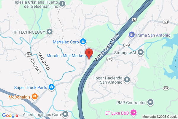 CARLOS MORALES ALICEA GROCERY