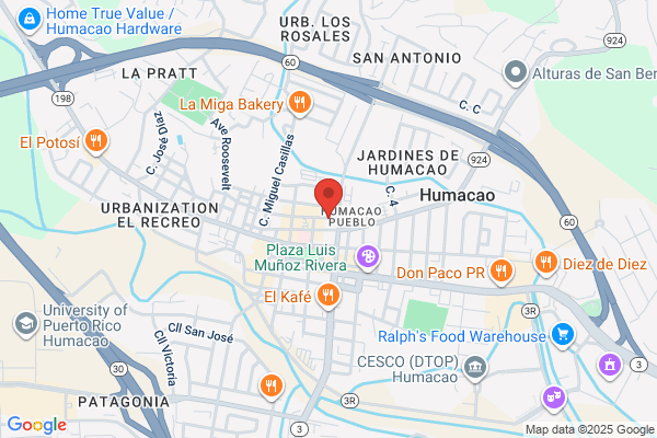 COLEGIO RUDIANETTE